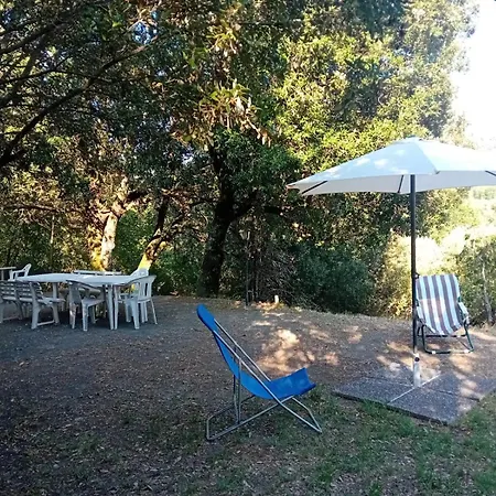 Apartment Crocetta