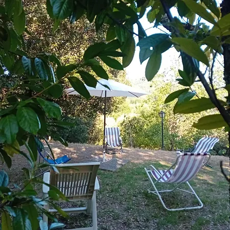 Crocetta Apartment *