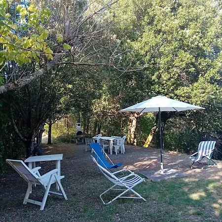 Crocetta Apartment *