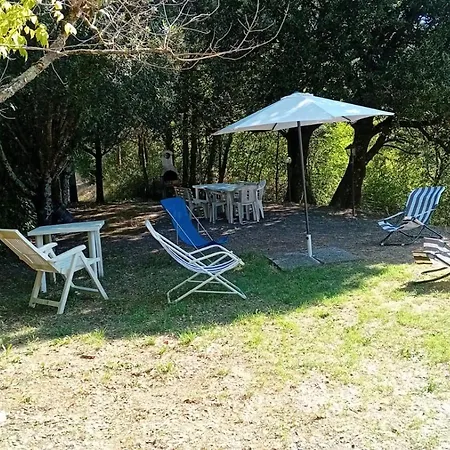 Apartment Crocetta